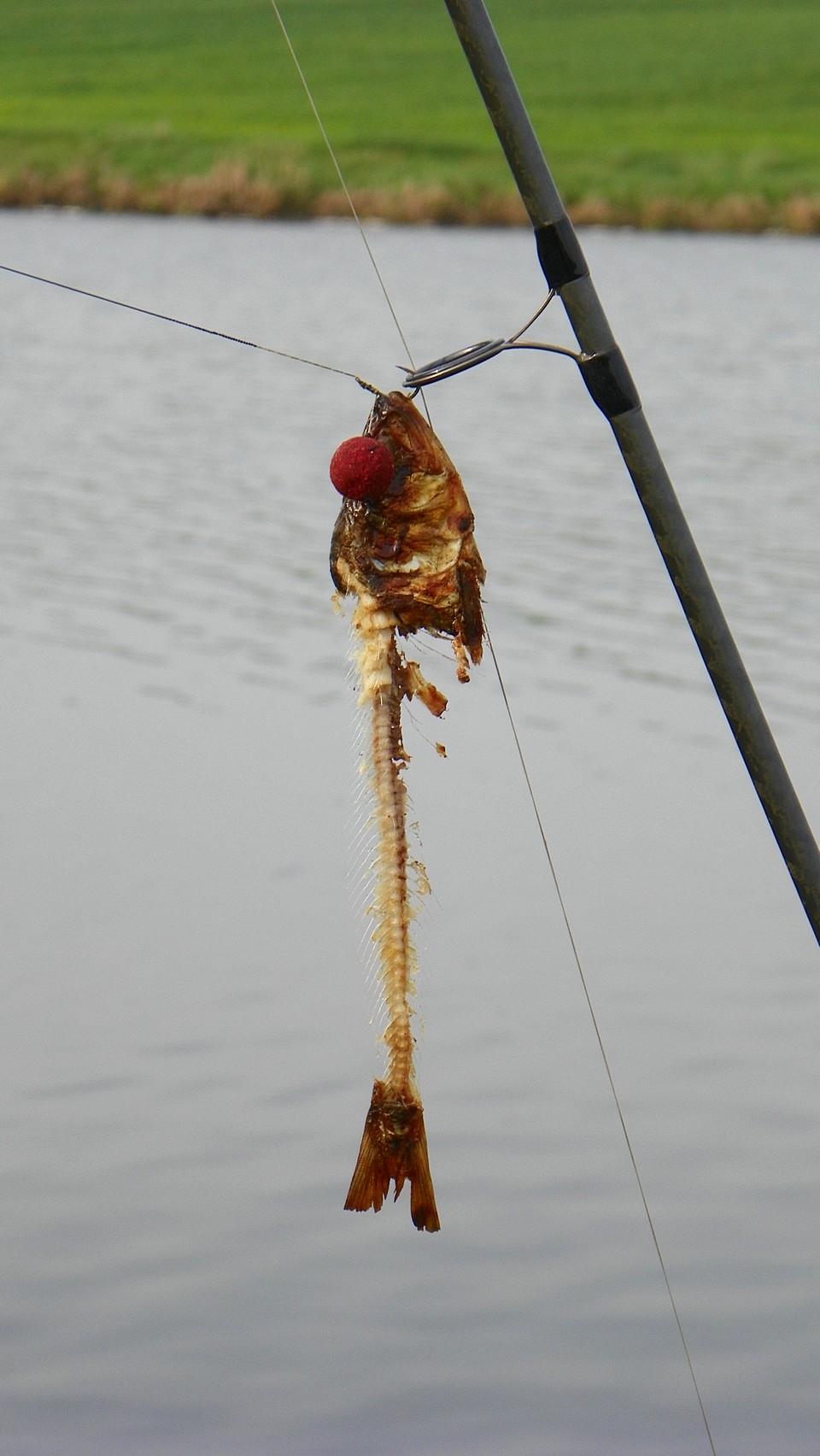 Party Cup 2011 (2)  - 1000215.jpg